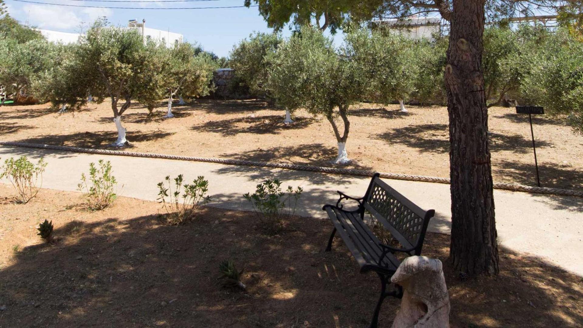 Parosland Hotel Aliki  Exterior photo
